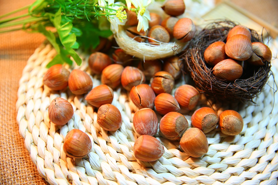 hazelnut-1098182_960_720