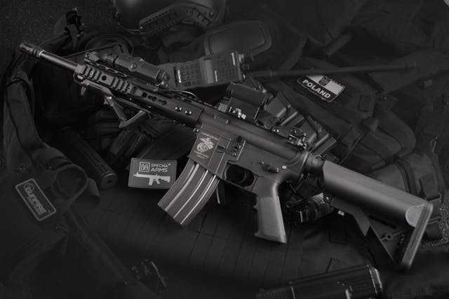 Gun